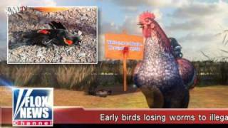 Taiwanese news coverage of the Southern USA bird die-offs is expectedly deranged